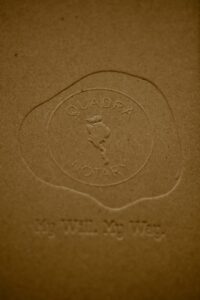 My Will, My Way book